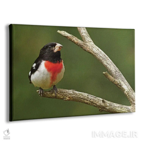 تابلو سهره گلسینه اثر برایان ولف - نمای پرسپکتیو محصول