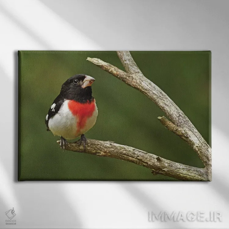 تابلو سهره گلسینه اثر برایان ولف - نمای روبهرو روی دیوار