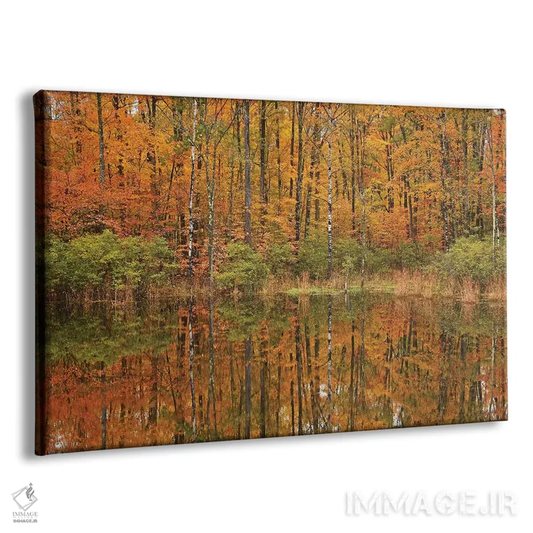 تابلو انعکاسهای برکه پاییزی اثر برایان ولف - نمای پرسپکتیو محصول