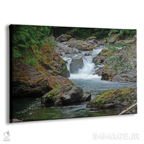 تابلو آبشارهای ماهی قزلآلا اثر برایان ولف - نمای پرسپکتیو محصول