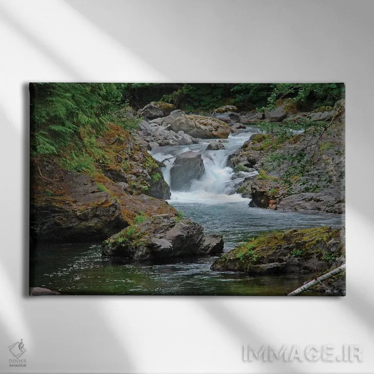 تابلو آبشارهای ماهی قزلآلا اثر برایان ولف - نمای روبهرو روی دیوار