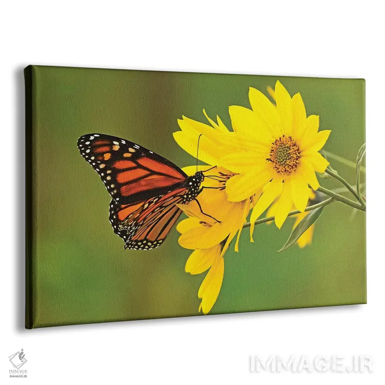 تابلو نشستن زیبا اثر برایان ولف - نمای پرسپکتیو محصول