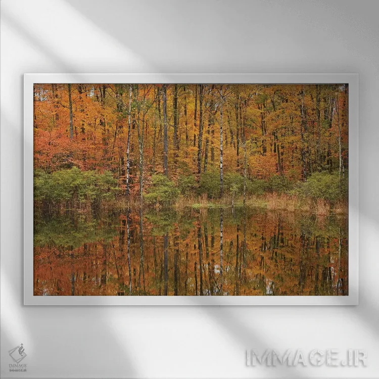 تابلو انعکاسهای برکه پاییزی اثر برایان ولف - نمای قابدار سفید