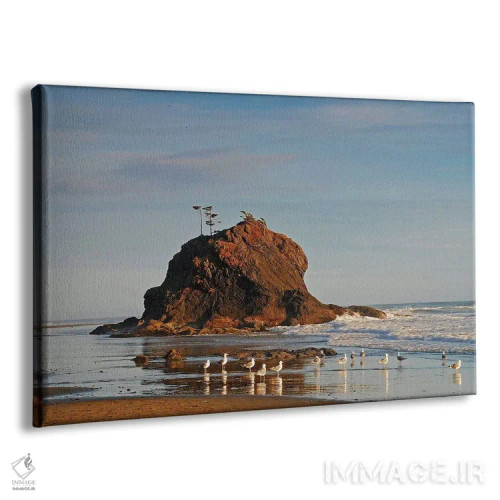 تابلو ستون سنگی دریایی و مرغهای دریایی اثر برایان ولف - نمای پرسپکتیو محصول