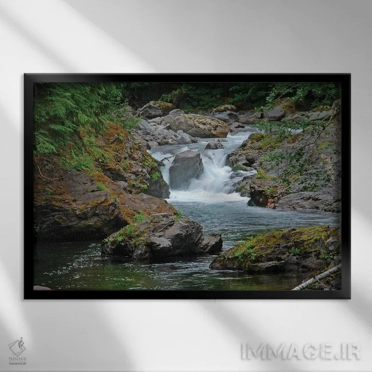تابلو آبشارهای ماهی قزلآلا اثر برایان ولف - نمای قابدار مشکی