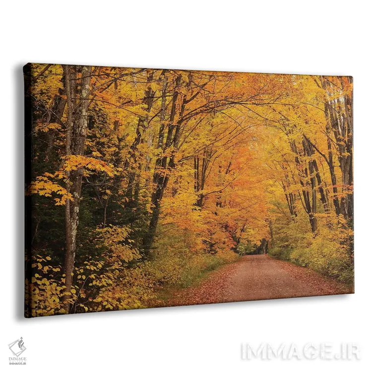 تابلو کوچه سایهدار اثر برایان ولف - نمای پرسپکتیو محصول