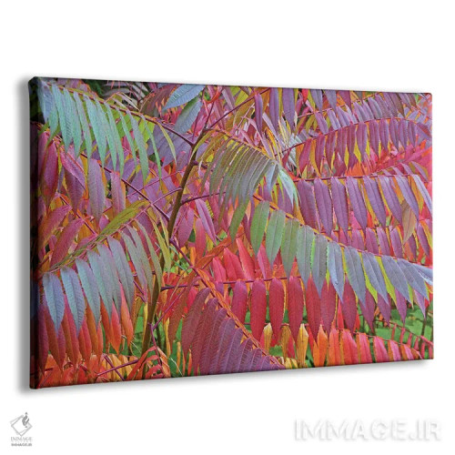 تابلو سایههای سماق اثر برایان ولف - نمای پرسپکتیو محصول