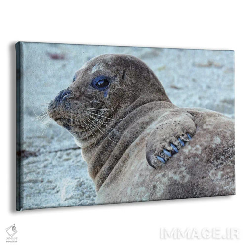 تابلو توله فُک اثر برایان ولف - نمای پرسپکتیو محصول