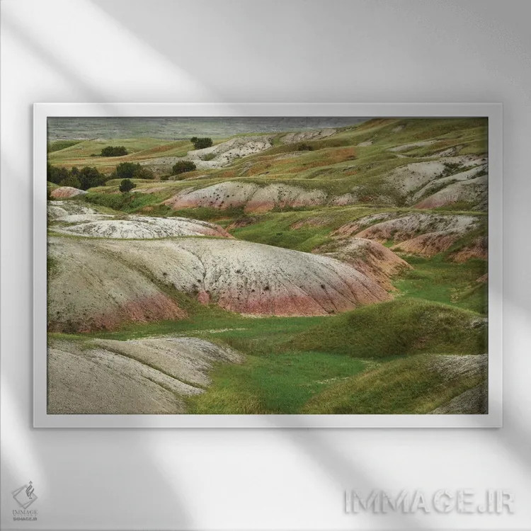 تابلو جویبار سیج (گیاه مریمگلی) اثر برایان ولف - نمای قابدار سفید