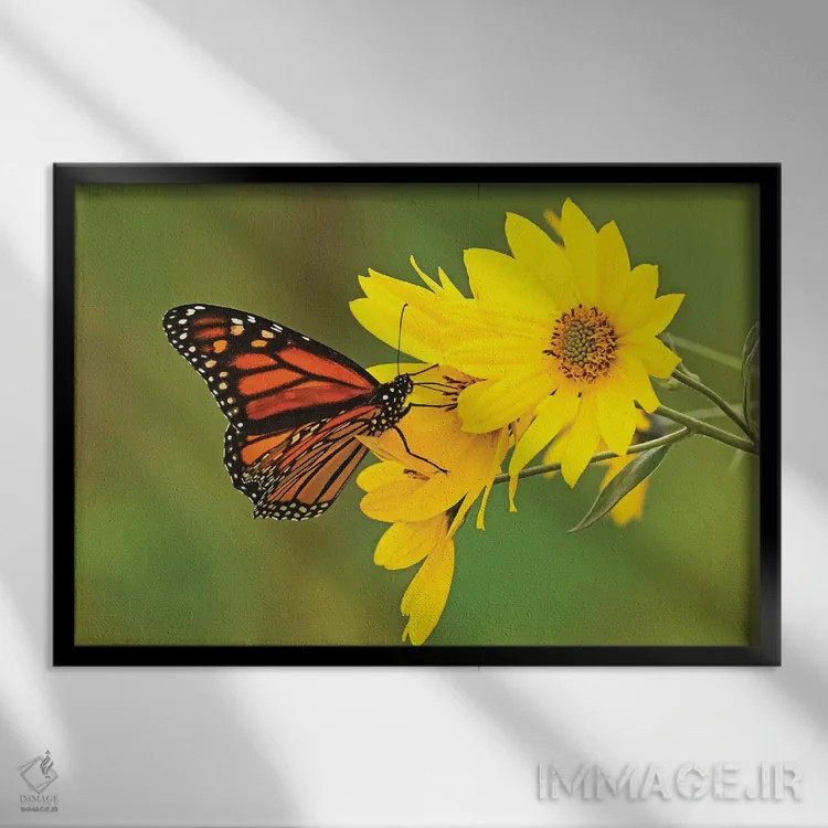 تابلو نشستن زیبا اثر برایان ولف - نمای قابدار مشکی