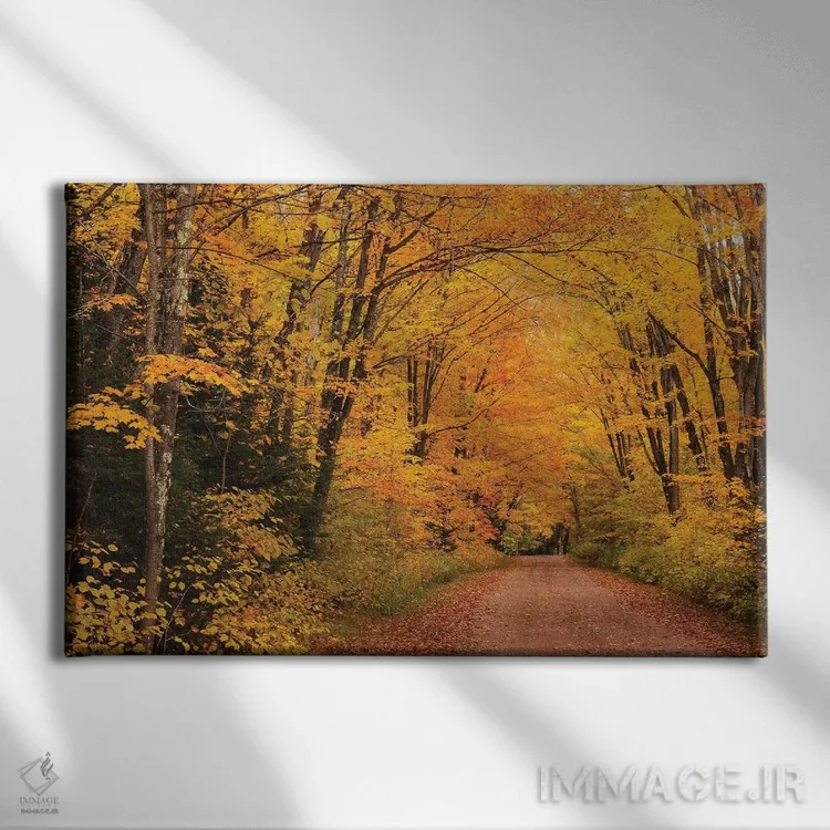 تابلو کوچه سایهدار اثر برایان ولف - نمای روبهرو روی دیوار