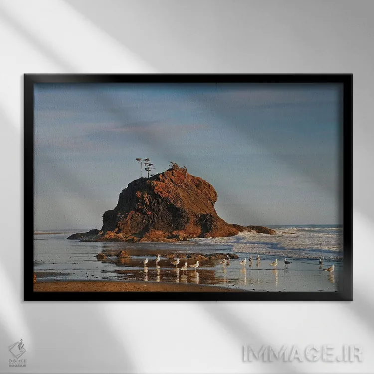 تابلو ستون سنگی دریایی و مرغهای دریایی اثر برایان ولف - نمای قابدار مشکی