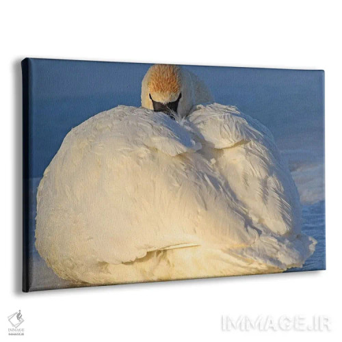 تابلو گرم ماندن اثر برایان ولف - نمای پرسپکتیو محصول