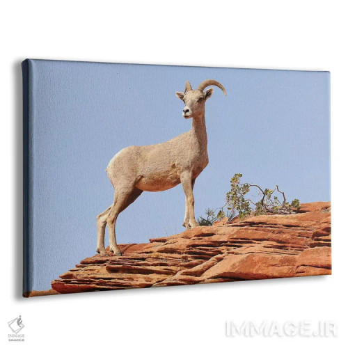 تابلو با غرور ایستاده اثر برایان ولف - نمای پرسپکتیو محصول