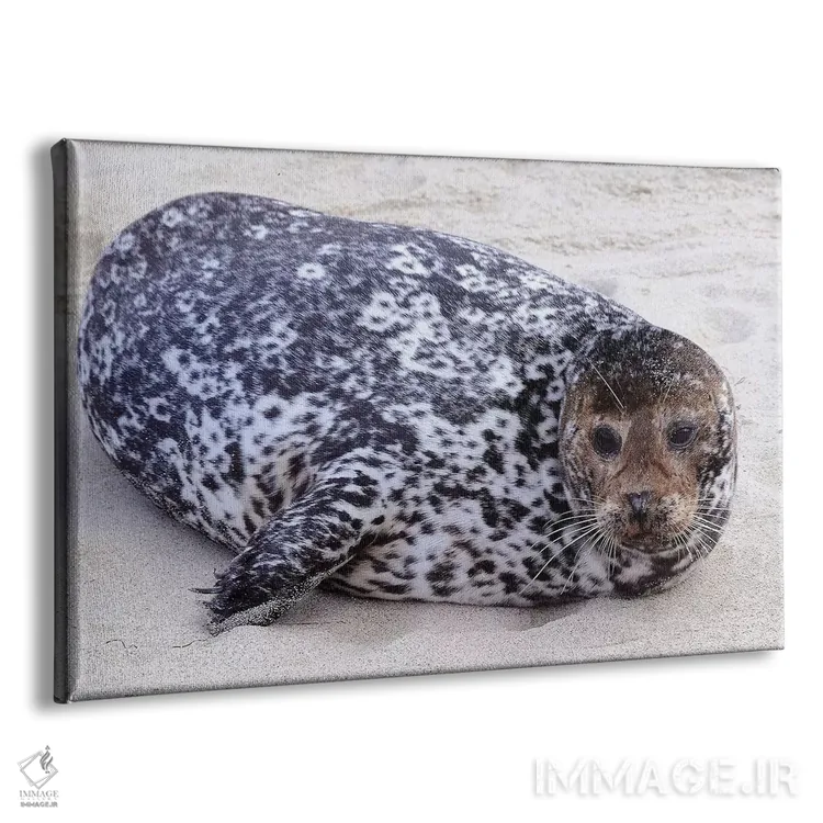 تابلو لکه اثر برایان ولف - نمای پرسپکتیو محصول