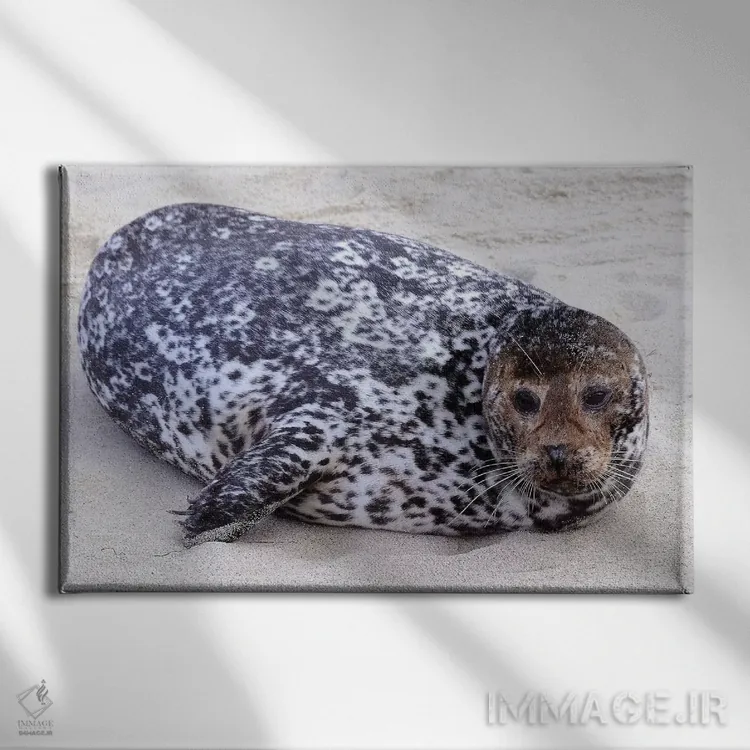 تابلو لکه اثر برایان ولف - نمای روبهرو روی دیوار