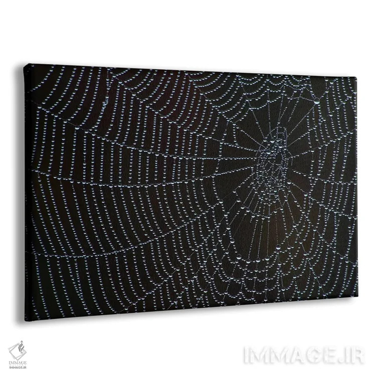 تابلو تار عنکبوت با شبنم صبحگاهی اثر برایان ولف - نمای پرسپکتیو محصول