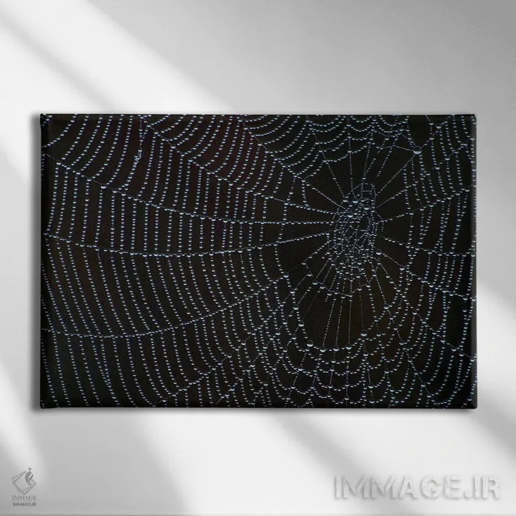 تابلو تار عنکبوت با شبنم صبحگاهی اثر برایان ولف - نمای روبهرو روی دیوار