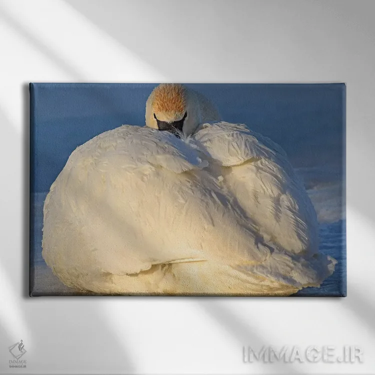 تابلو گرم ماندن اثر برایان ولف - نمای روبهرو روی دیوار