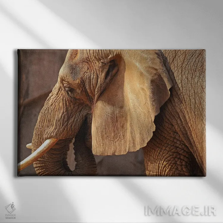 تابلو فیل آفریقایی اثر برایان ولف - نمای روبهرو روی دیوار