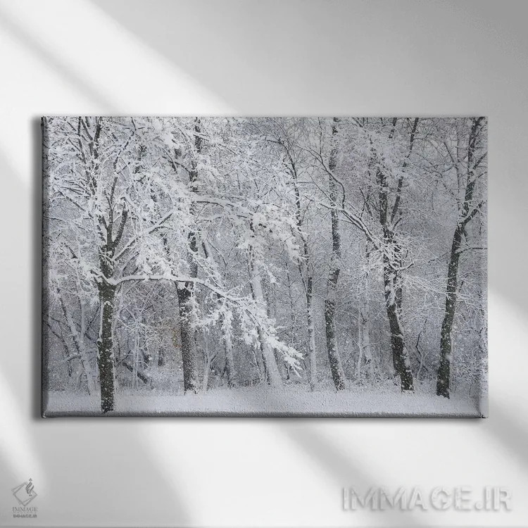 تابلو طوفان برفی اثر برایان ولف - نمای روبهرو روی دیوار