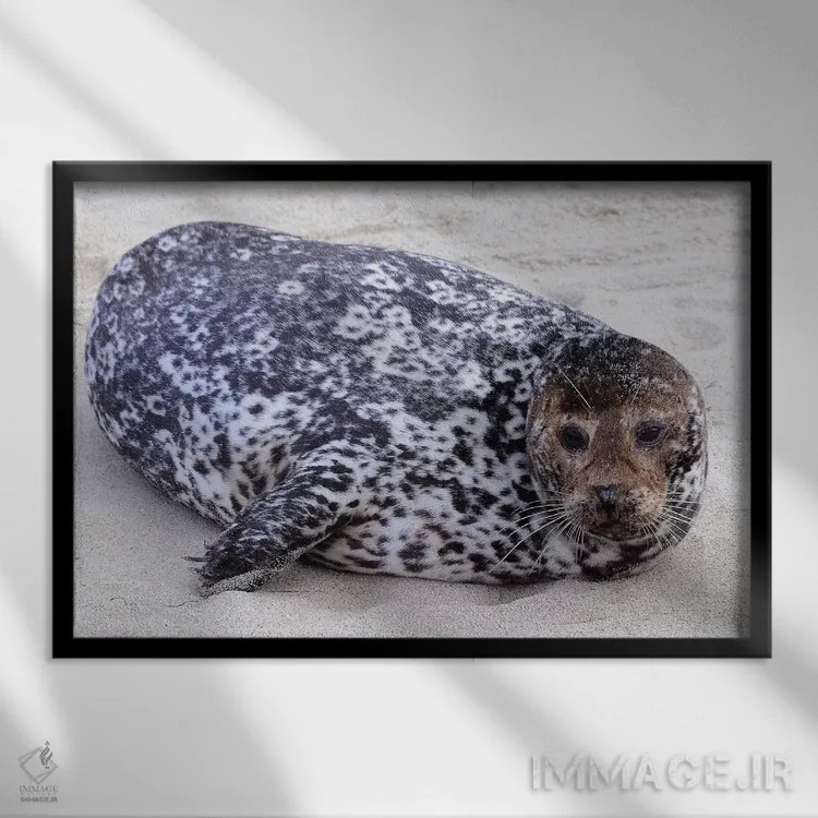 تابلو لکه اثر برایان ولف - نمای قابدار مشکی