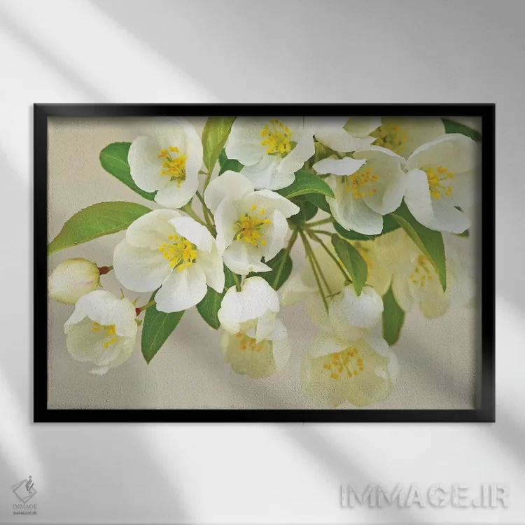 تابلو تازگی بهاری اثر برایان ولف - نمای قابدار مشکی