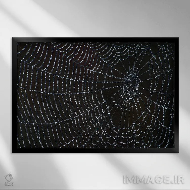 تابلو تار عنکبوت با شبنم صبحگاهی اثر برایان ولف - نمای قابدار مشکی