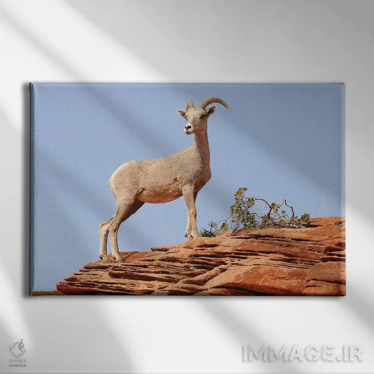 تابلو با غرور ایستاده اثر برایان ولف - نمای روبهرو روی دیوار