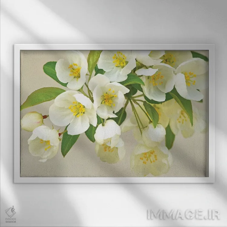 تابلو تازگی بهاری اثر برایان ولف - نمای قابدار سفید