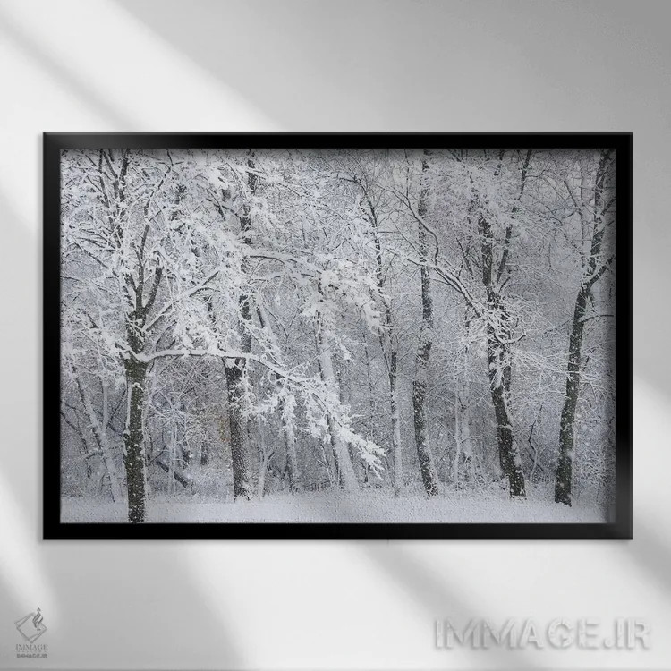 تابلو طوفان برفی اثر برایان ولف - نمای قابدار مشکی