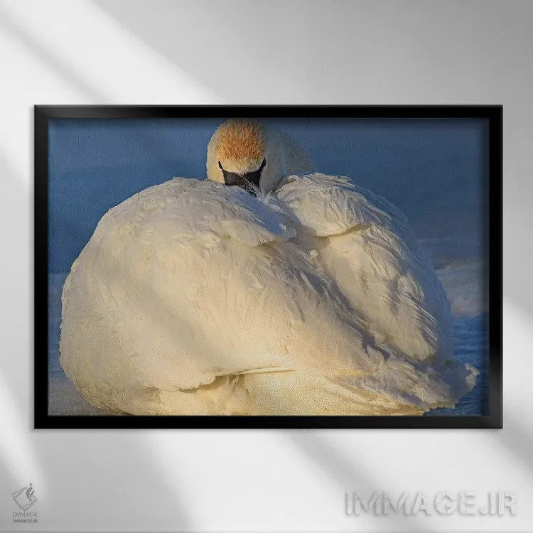 تابلو گرم ماندن اثر برایان ولف - نمای قابدار مشکی