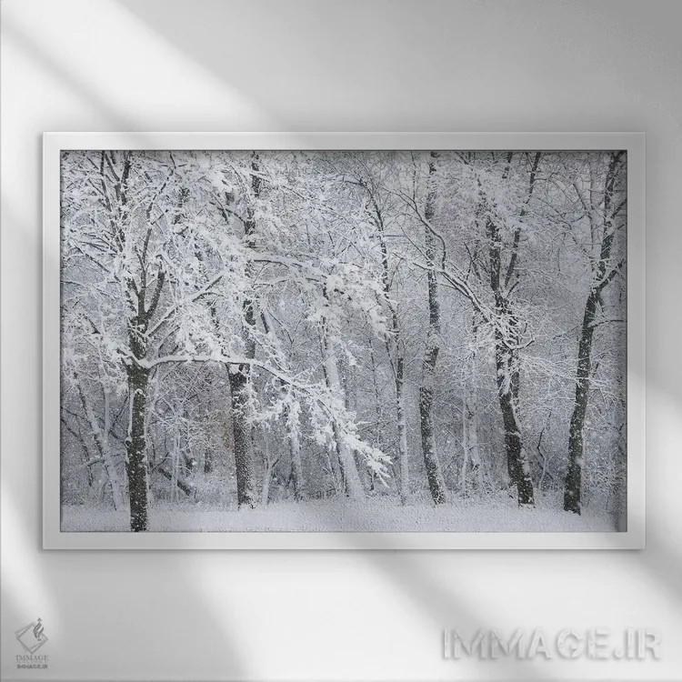 تابلو طوفان برفی اثر برایان ولف - نمای قابدار سفید