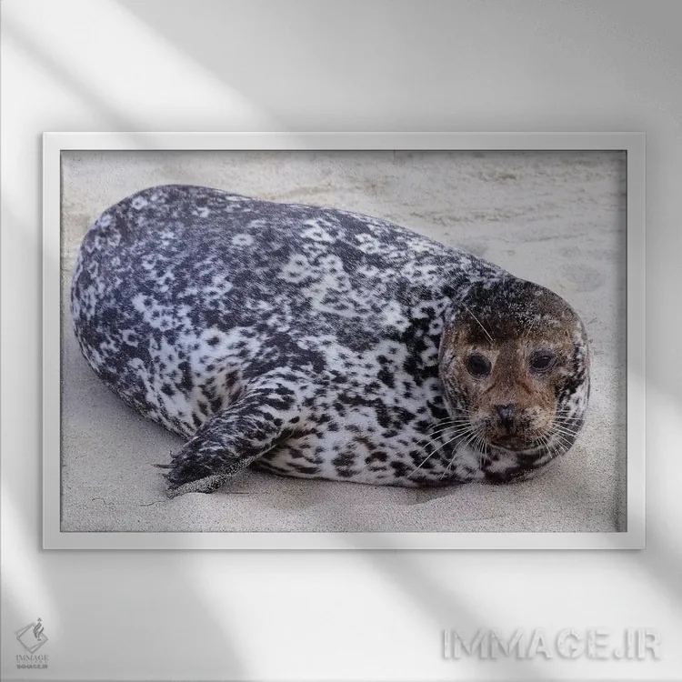 تابلو لکه اثر برایان ولف - نمای قابدار سفید