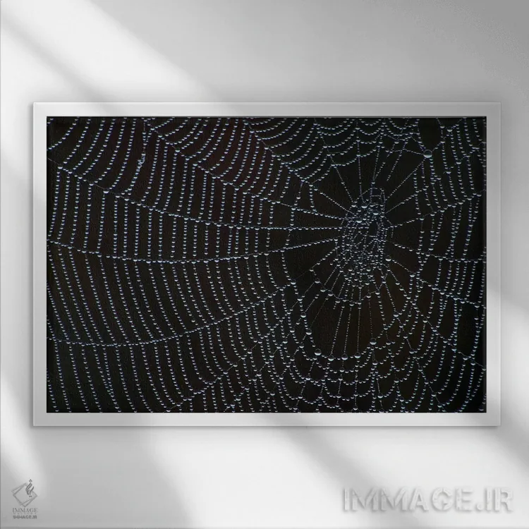 تابلو تار عنکبوت با شبنم صبحگاهی اثر برایان ولف - نمای قابدار سفید