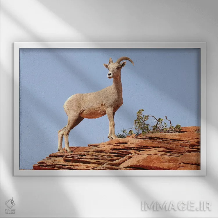 تابلو با غرور ایستاده اثر برایان ولف - نمای قابدار سفید