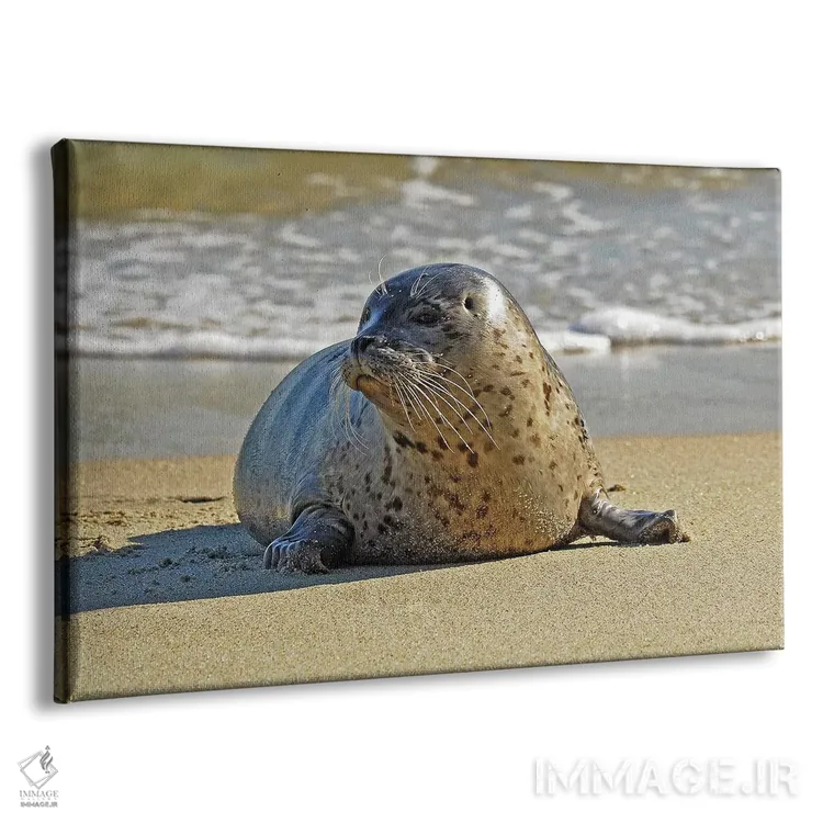 تابلو از آب بیرون آمدن اثر برایان ولف - نمای پرسپکتیو محصول