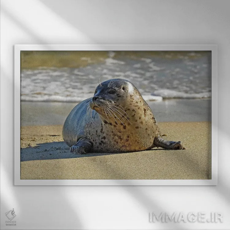 تابلو از آب بیرون آمدن اثر برایان ولف - نمای قابدار سفید