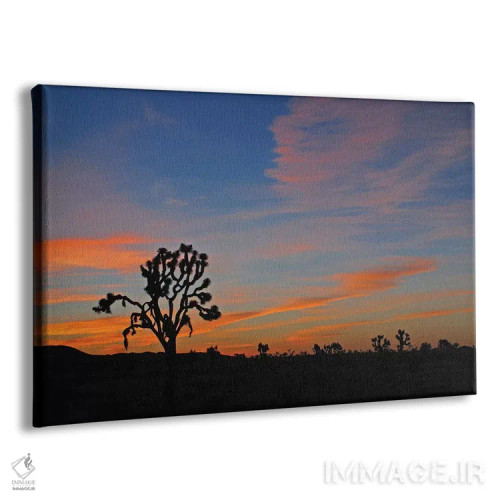 تابلو طلوع در پارک جاشوا تری اثر برایان ولف - نمای پرسپکتیو محصول