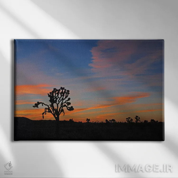تابلو طلوع در پارک جاشوا تری اثر برایان ولف - نمای روبهرو روی دیوار