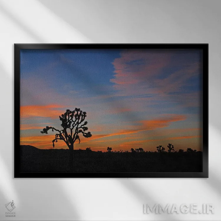 تابلو طلوع در پارک جاشوا تری اثر برایان ولف - نمای قابدار مشکی