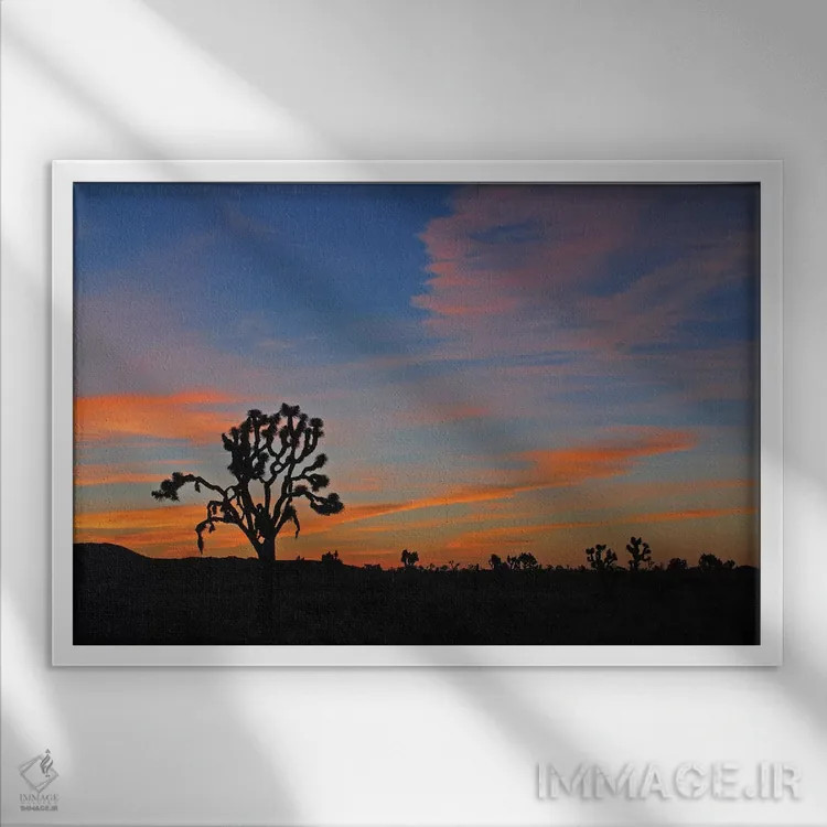 تابلو طلوع در پارک جاشوا تری اثر برایان ولف - نمای قابدار سفید