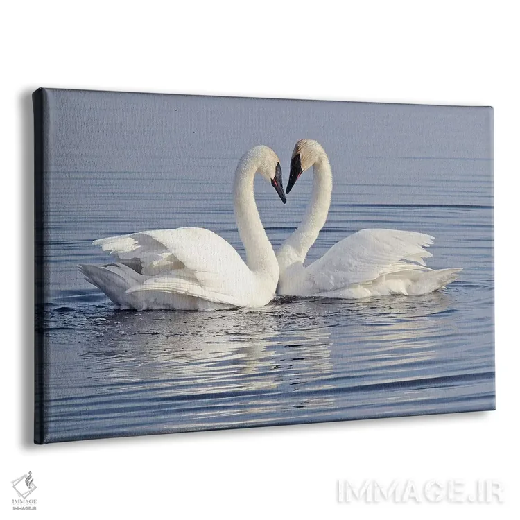 تابلو قلب اثر برایان ولف - نمای پرسپکتیو محصول