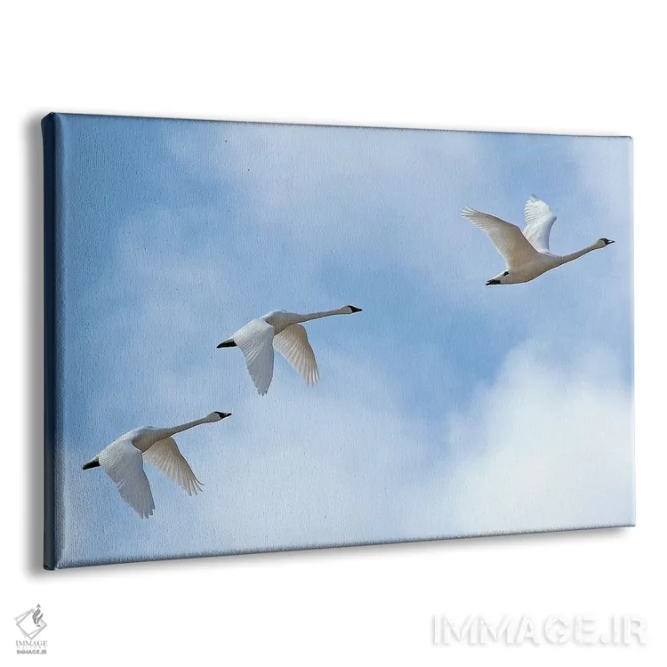 تابلو پرواز قو اثر برایان ولف - نمای پرسپکتیو محصول