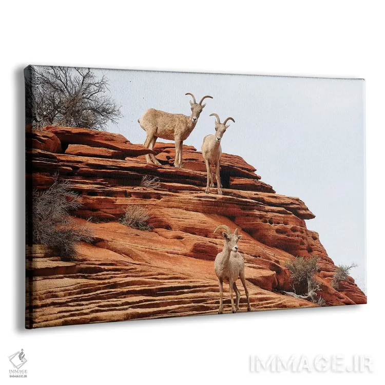 تابلو سهنفره (سهتایی) اثر برایان ولف - نمای پرسپکتیو محصول