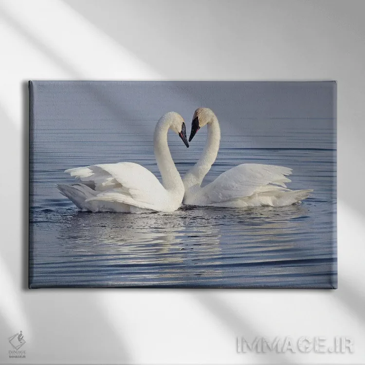 تابلو قلب اثر برایان ولف - نمای روبهرو روی دیوار