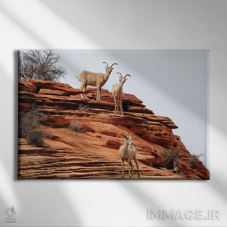 تابلو سهنفره (سهتایی) اثر برایان ولف - نمای روبهرو روی دیوار