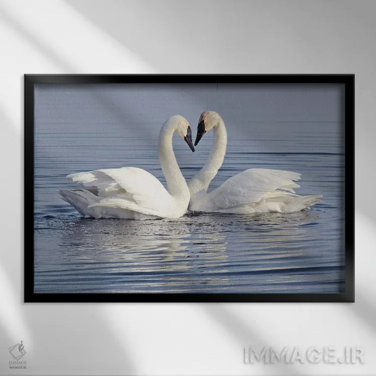 تابلو قلب اثر برایان ولف - نمای قابدار مشکی