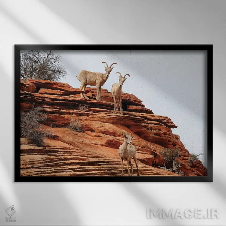 تابلو سهنفره (سهتایی) اثر برایان ولف - نمای قابدار مشکی