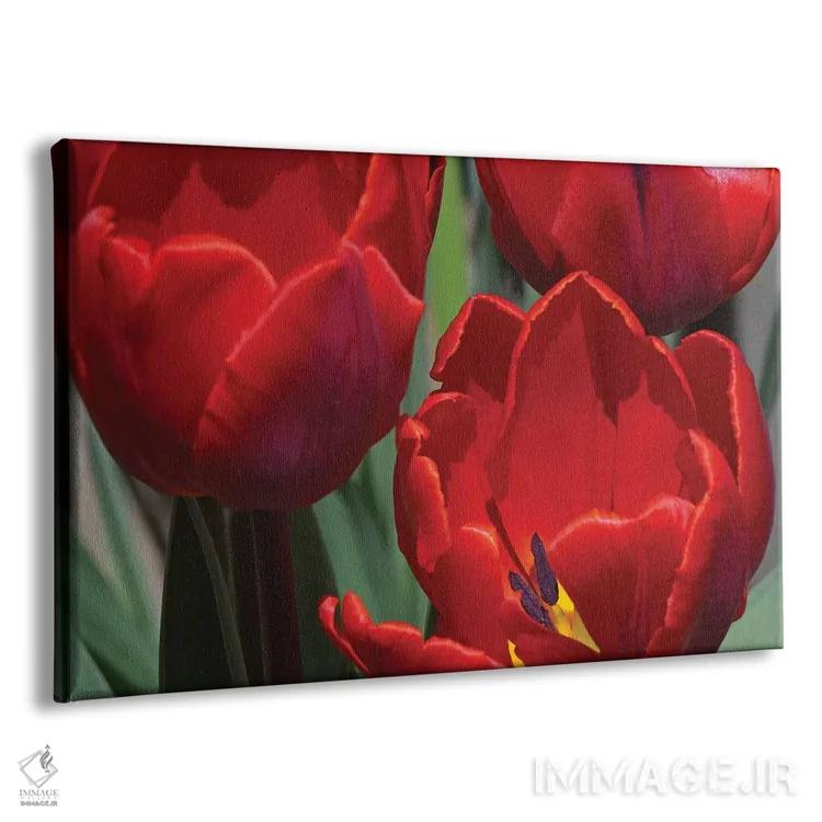 تابلو لالهها اثر برایان ولف - نمای پرسپکتیو محصول